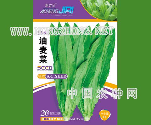 油麦菜